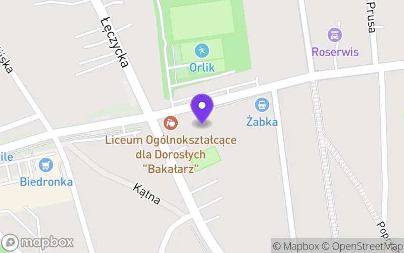 Lokalizacja: Samorządowe Liceum Ogólnokształcące im. Romualda Traugutta w Zgierzu
