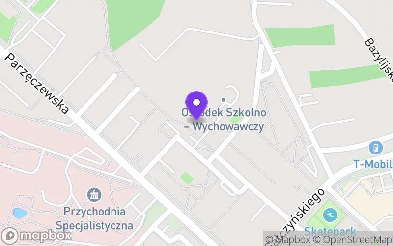 Lokalizacja: Specjalna Szkoła Branżowa I Stopnia nr 3 im. Kornela Makuszyńskiego w Zgierzu