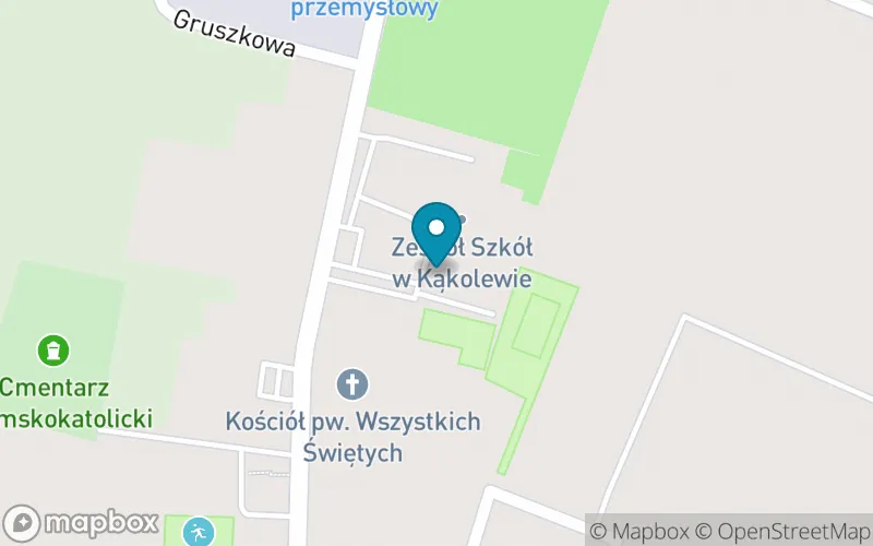 Lokalizacja: Szkoła Podstawowa im. Powstańców Wielkopolskich Kąkolewo