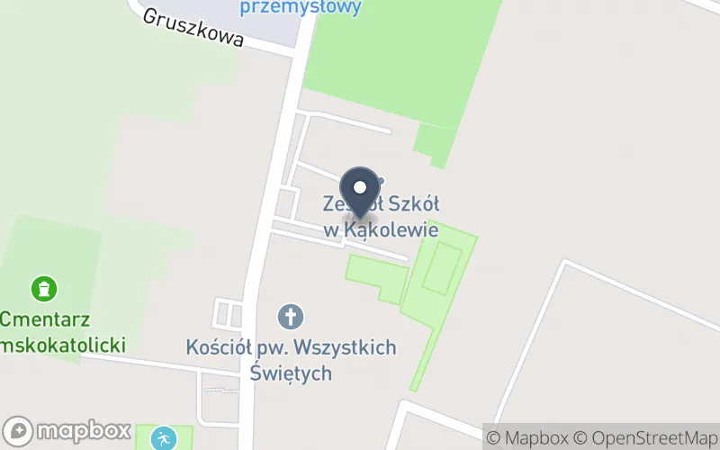 Lokalizacja: Zespół Szkół w Kąkolewie