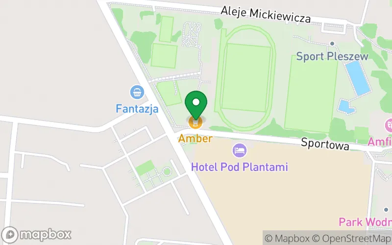 Lokalizacja: Niepubliczne Przedszkole i Żłobek "Niezapominajka" Monika Gorgosz