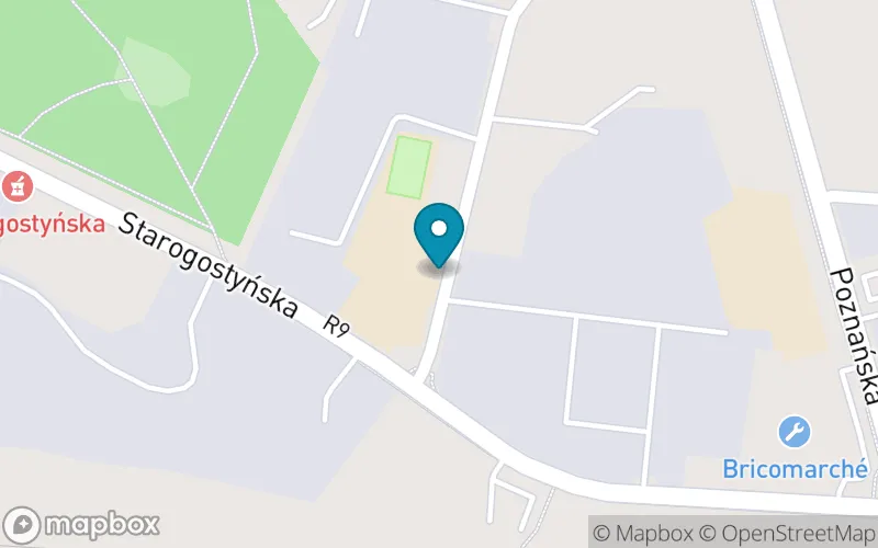 Lokalizacja: Szkoła Podstawowa nr 5 im. Ks. Franciszka Olejniczaka w Gostyniu