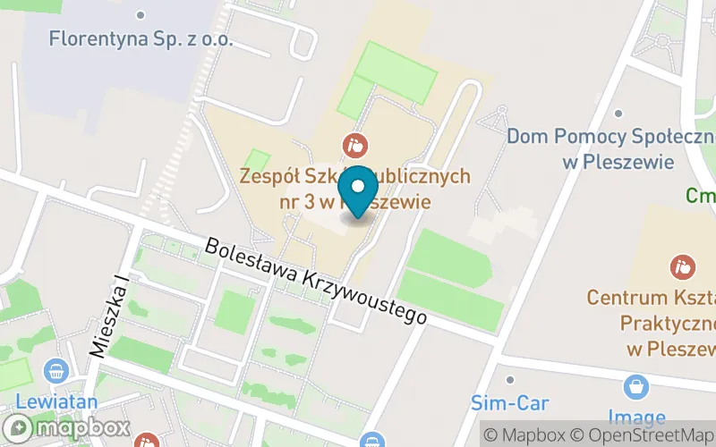 Lokalizacja: Szkoła Podstawowa nr 3 im. Powstańców Wielkopolskich w Pleszewie