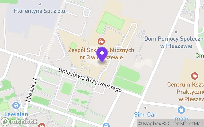 Lokalizacja: Niepubliczne Liceum Ogólnokształcące w Pleszewie