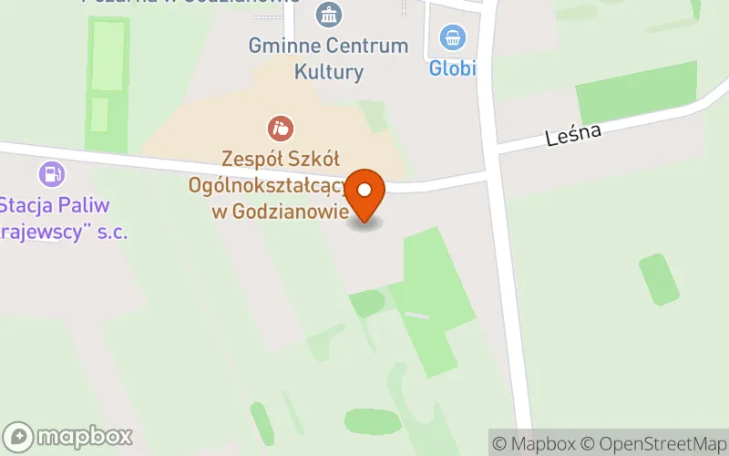 Lokalizacja: Godzianowski Klub Malucha
