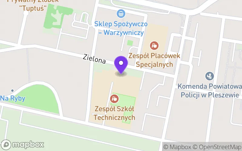 Lokalizacja: Technikum nr 1 w Pleszewie