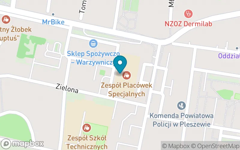 Lokalizacja: Szkoła Podstawowa Specjalna w Pleszewie