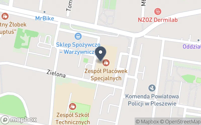 Lokalizacja: Zespół Placówek Specjalnych w Pleszewie