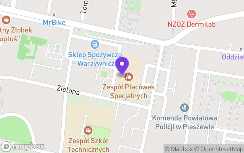 Lokalizacja: Branżowa Szkoła Specjalna I Stopnia w Pleszewie