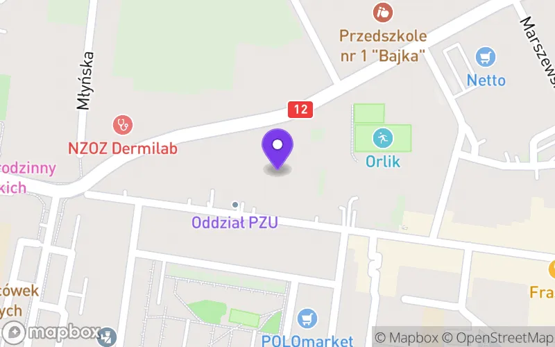 Lokalizacja: I Liceum Ogólnokształcące im. St. Staszica w Pleszewie