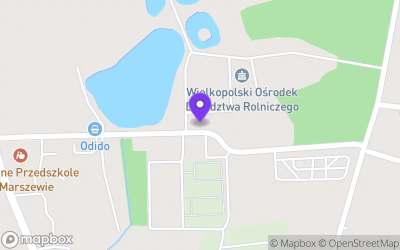 Lokalizacja: Technikum im. Płk. Ludwika Bociańskiego w Marszewie