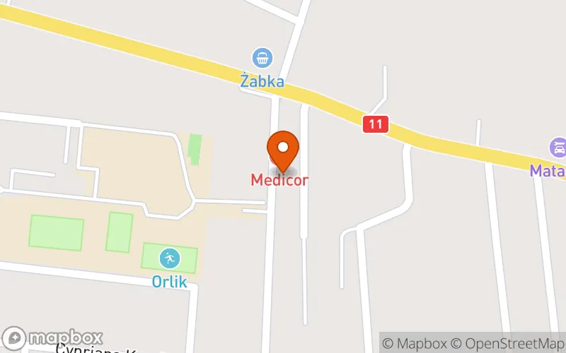 Lokalizacja: Żłobek Szalona Żyrafa w Kotlinie