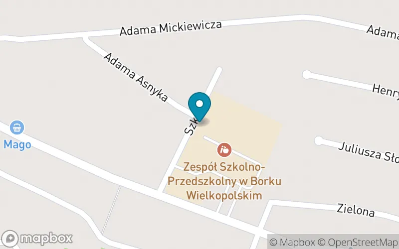 Lokalizacja: Szkoła Podstawowa im. Władysława Jagiełły w Borku Wlkp.