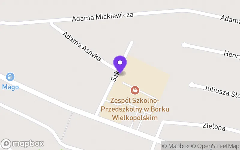 Lokalizacja: Liceum Ogólnokształcące w Borku Wlkp.