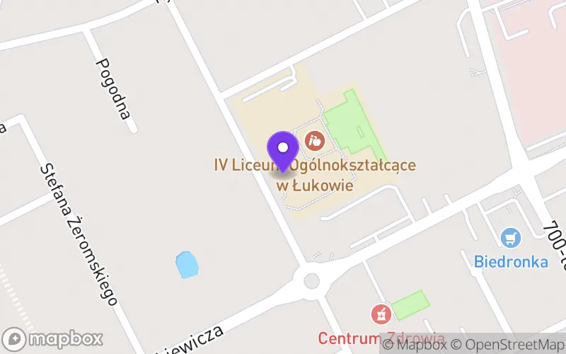 Lokalizacja: IV Liceum Ogólnokształcące im. Jana Pawła II w Łukowie