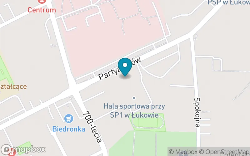 Lokalizacja: Szkoła Podstawowa nr 1 im. Ks. Grzegorza Piramowicza w Łukowie