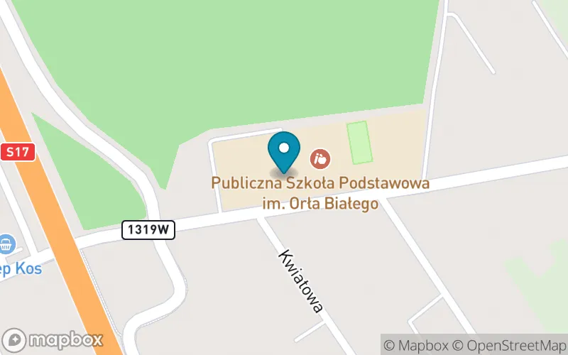 Lokalizacja: Szkoła Podstawowa im. Orła Białego w Michałówce