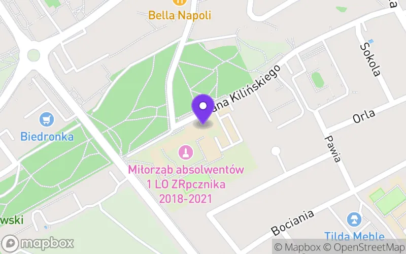 Lokalizacja: I Liceum Ogólnokształcące im. Edwarda Dembowskiego w Zielonej Górze
