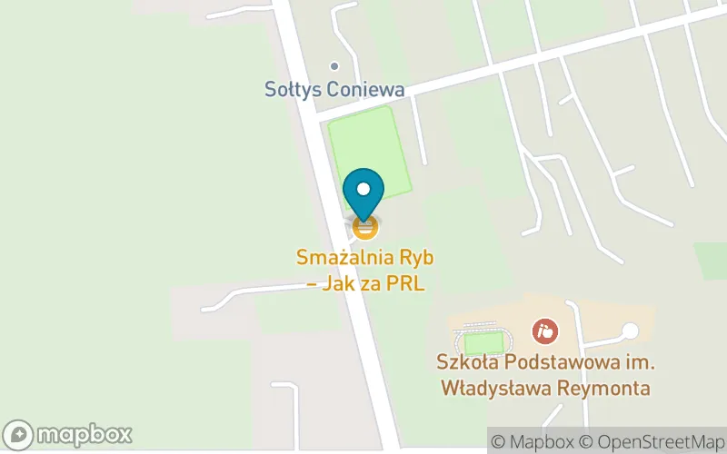 Lokalizacja: Szkoła Podstawowa im. Władysława Reymonta w Coniewie