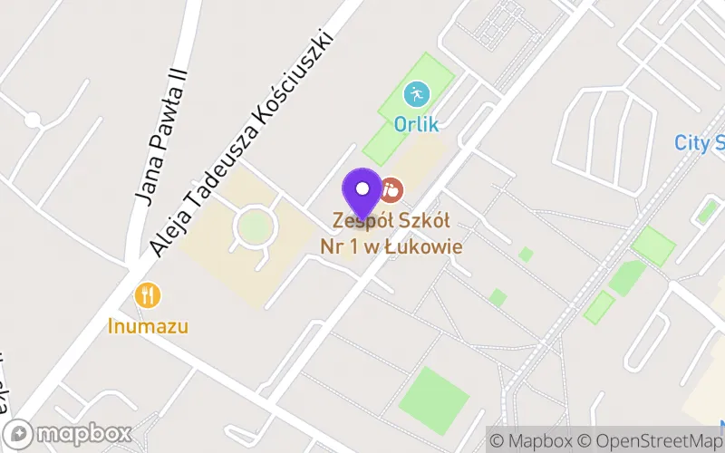 Lokalizacja: Technikum nr 1 w Łukowie