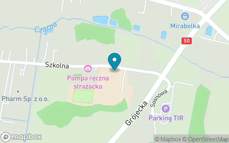 Lokalizacja: Szkoła Podstawowa im. Kazimierza Górskiego w Czaplinku