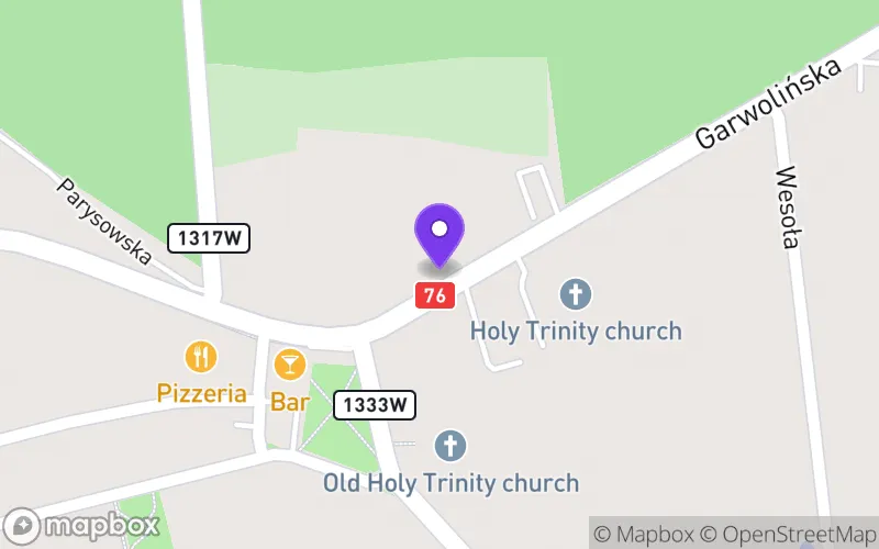 Lokalizacja: Branżowa Szkoła I Stopnia Specjalna w Borowiu