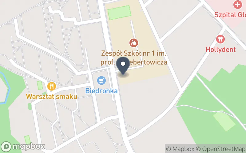 Lokalizacja: Zespół Szkół Specjalnych w Głownie