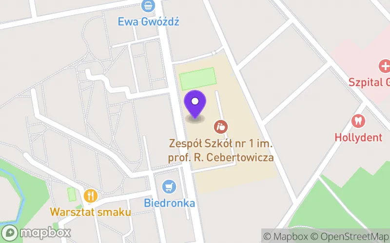 Lokalizacja: Szkoła Branżowa I Stopnia nr 1 w Zespole Szkół nr 1 w Głownie
