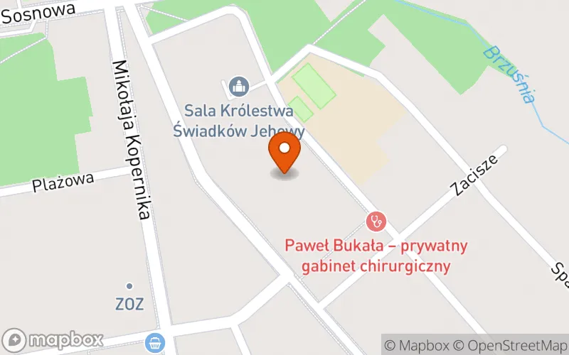 Lokalizacja: Miejski Żłobek w Głownie