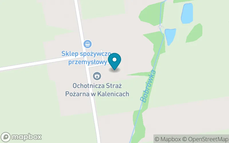 Lokalizacja: Szkoła Podstawowa w Kalenicach