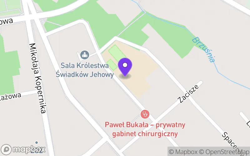 Lokalizacja: I Liceum Ogólnokształcące w Głownie