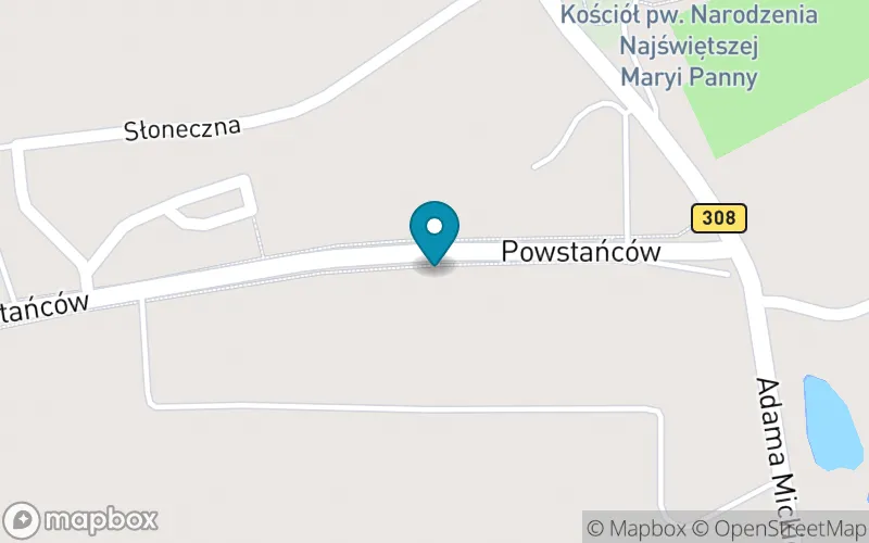 Lokalizacja: Szkoła Podstawowa im. Adama Mickiewicza w Lubiniu