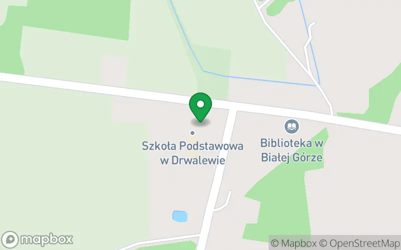 Lokalizacja: Publiczne Przedszkole w Drwalewie