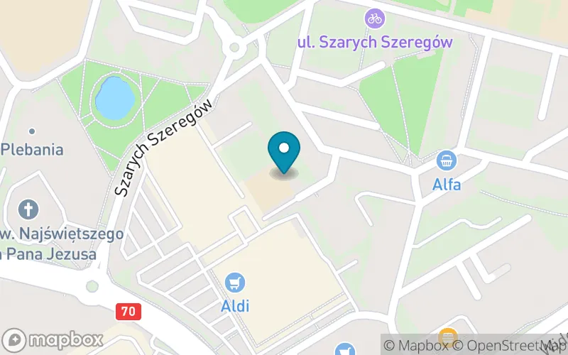 Lokalizacja: Niepubliczna Szkoła Podstawowa Novum w Skierniewicach