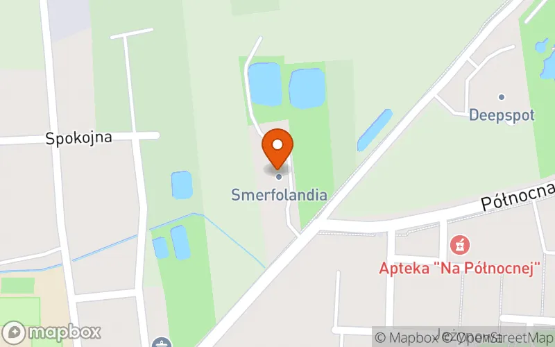 Lokalizacja: Żłobek Smerfne Skrzaty