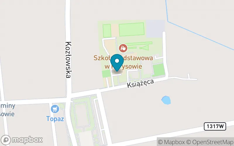 Lokalizacja: Publiczna Szkoła Podstawowa