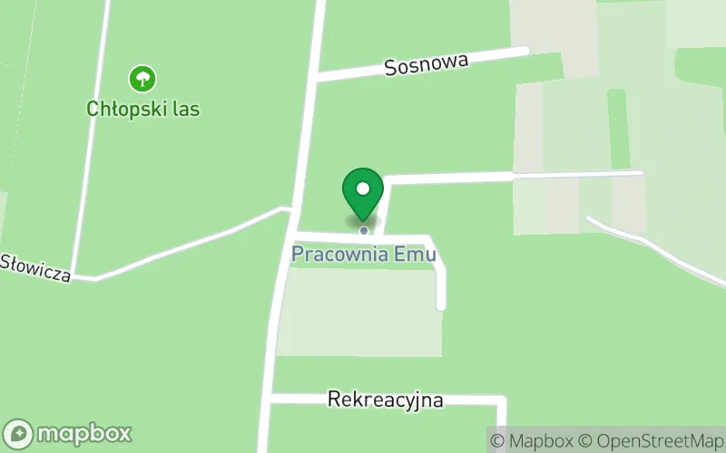 Lokalizacja: Pracownia Emu-Niepubliczny Terapeutyczny Punkt Przedszkolny