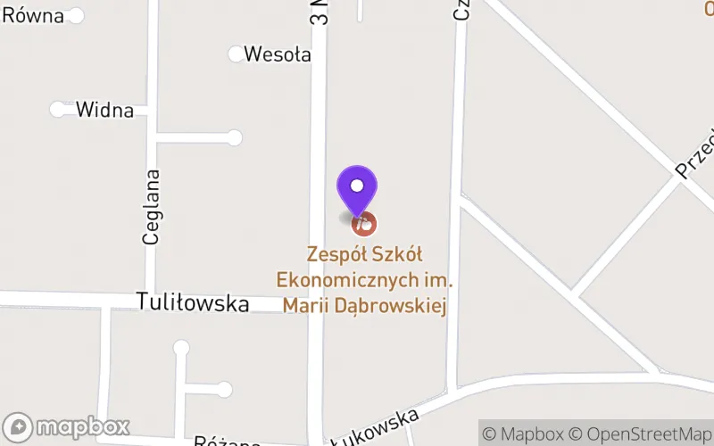 Lokalizacja: Liceum Ogólnokształcące Zespołu Szkół Ekonomicznych w Międzyrzecu Podlaskim