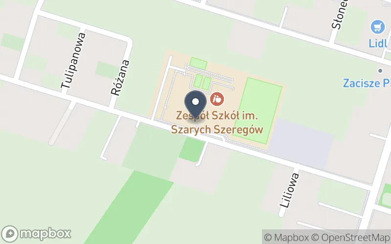 Lokalizacja: Zespół Szkół Szkoła Podstawowa i Liceum Ogólnokształcące im. Szarych Szeregów w Tarczynie