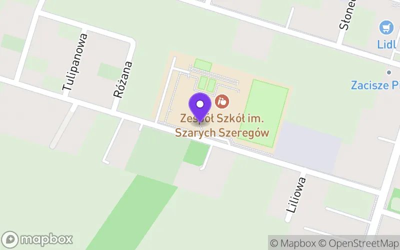 Lokalizacja: Liceum Ogólnokształcące im. Szarych Szeregów