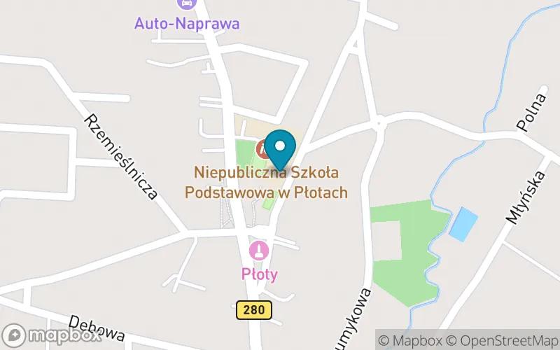 Lokalizacja: Niepubliczna Szkoła Podstawowa w Płotach