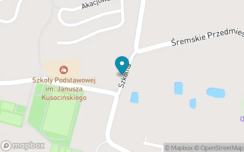 Lokalizacja: Szkoła Podstawowa im. Janusza Kusocińskiego w Dolsku