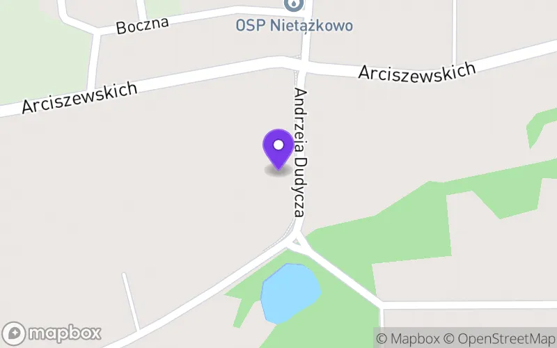 Lokalizacja: Technikum w Nietążkowie