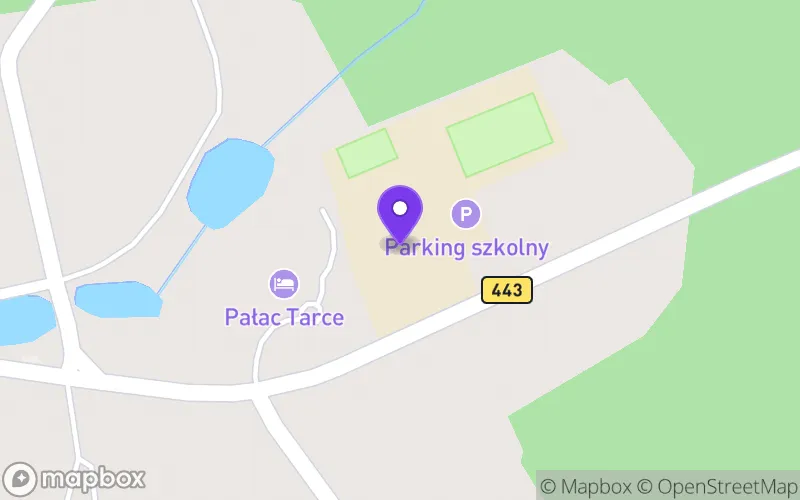 Lokalizacja: Technikum w Tarcach