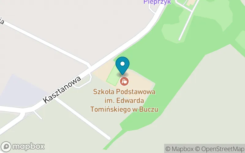 Lokalizacja: Szkoła Podstawowa im. Edwarda Tomińskiego w Buczu