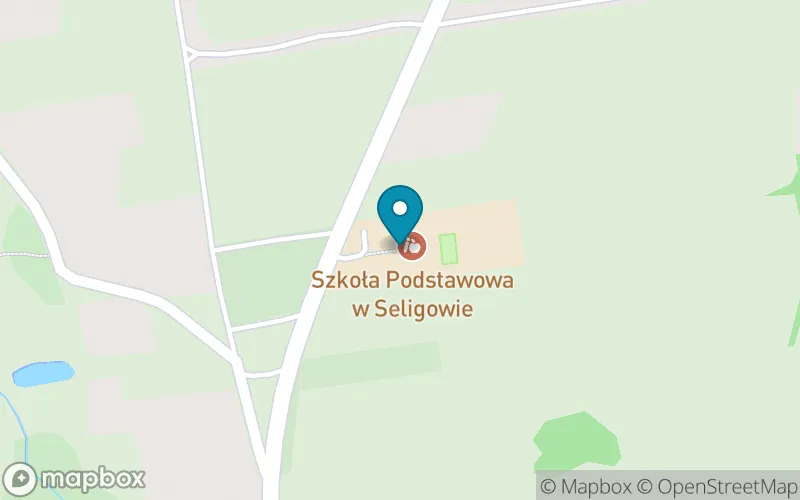 Lokalizacja: Szkoła Podstawowa w Seligowie