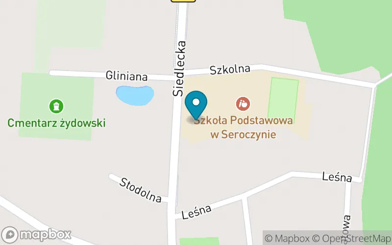 Lokalizacja: Szkoła Podstawowa im. Ks. W. Lewandowskiego