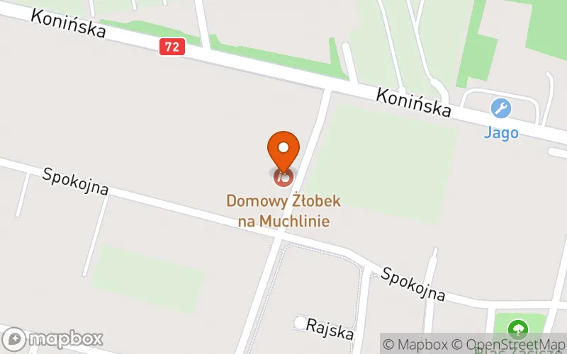 Lokalizacja: Domowy Żłobek na Muchlinie