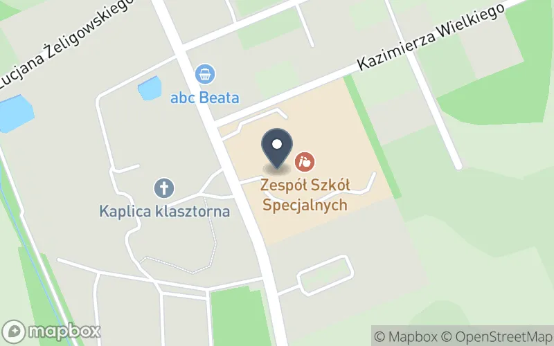 Lokalizacja: Zespół Szkół Specjalnych