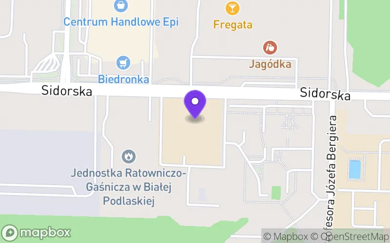Lokalizacja: Akademickie Liceum Ogólnokształcące w Białej Podlaskiej